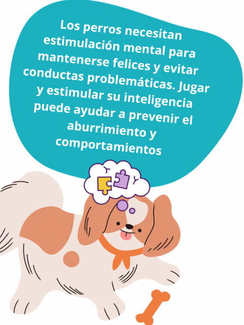 7 juegos caninos faciles de hacer desde casa, para el desarrollo mental de tu perro