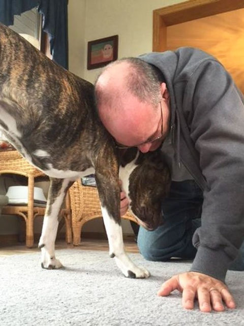 paternidad perruna 7