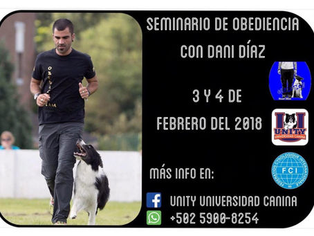Seminario de Obediencia Canina con Dani Díaz desde España