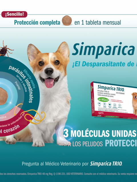 Simparica Trio, el desparasitante de los perros, elimina pulgas y garrapatas en una sola tableta al mes