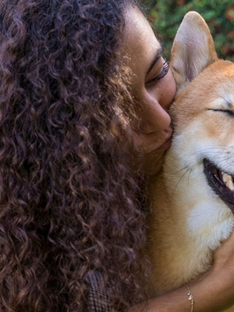 Lo que debemos saber de los ANIMALES RESCATADOS