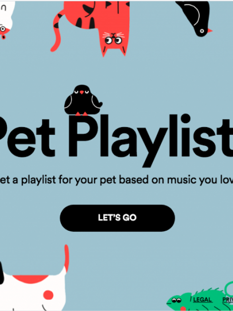 Spotify crea lista de música para mascotas