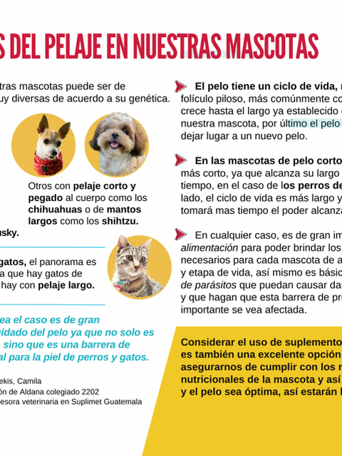 Cuidados del pelaje en nuestras mascotas