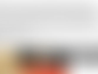 ¡Una gatita pierde sus riñones por negligencia médica