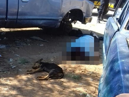 Perro fiel acompaña a su dueño hasta su muerte