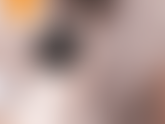 ¿Porque buscar un novio que tenga un perro?