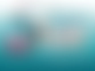 ¿A qué perritos podemos considerar de raza pequeña y cómo cuidarlos en sus diferentes etapas  de vida?