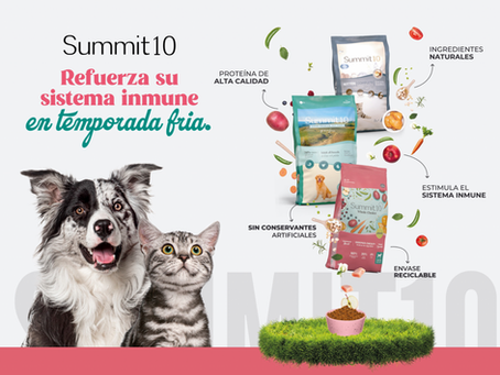 Refuerza su sistema inmune en temporada de frío