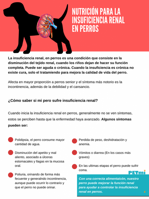 Insuficiencia Renal en perros