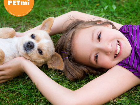 18 confesiones de un perro a su dueño