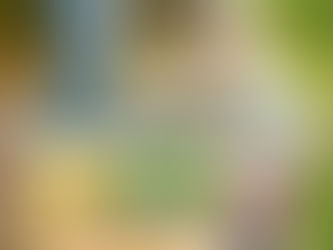 Beneficios de la alimentación deshidratada