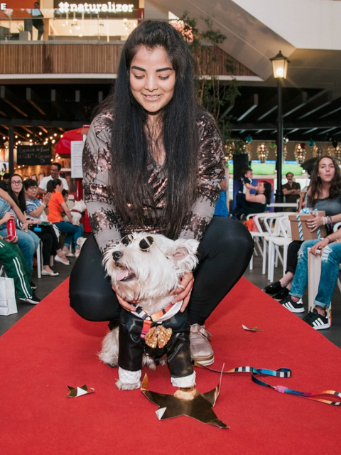 Westie Party Red Carpet