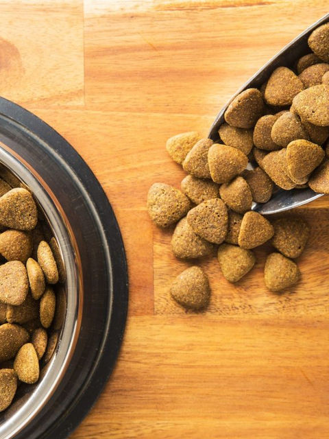 ¿Super prémium o Prémium? ¿Cuáles son las diferencias?