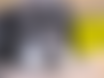 Cuidados de un Perro Anciano: Respuestas del Experto