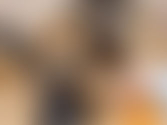 6 Accidentes caseros a los que esta expuesta tu mascota