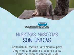 ¿Las mascota sueñan?