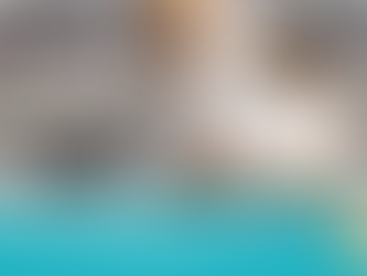 PULGAS EN GATOS ¿Cómo combatirlas?