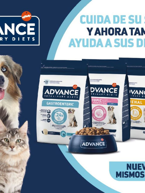 Advance alimento para perros que cuida de su salud y ahora también ayuda a sus defensas. 