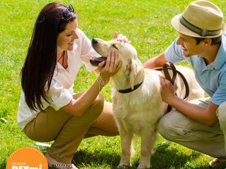 4 Beneficios que obtienen las parejas al integrar una mascota en su relación.