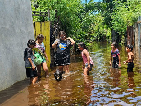 Mientras Voluntarios en Puerto de San José Rescatan a Peluditos en Necesidad una perrita los guia a otros peludos con necesidad.