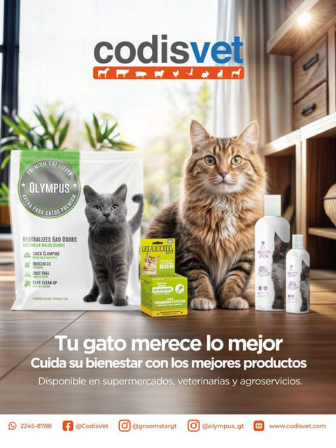 Tu gato merece lo mejor, cuida de su binestar con los mejores productos, disponibles end supermecardos, veterinarias y agroservicios
