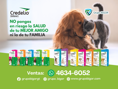 Ojo con el gusano barrenador: Protege a tu mascota y a tu familia del peligro