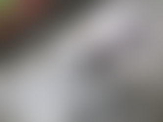 De Guatemala hasta Francia...la historia de Canche, un perro callejero con un mensaje de amor.