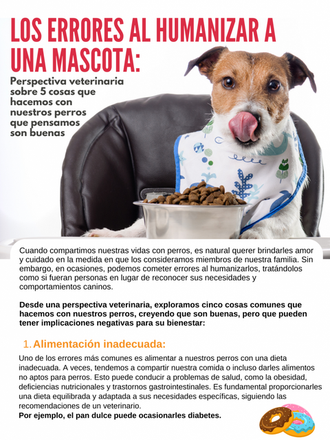 Los errores al humanizar a una mascota