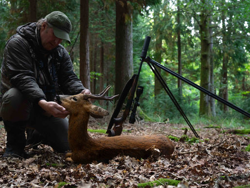 Reflections on the Roe Rut 25 - So Far.