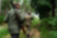 buck_rut-7 copy.jpg