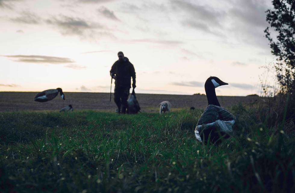 Inland Waterfowling