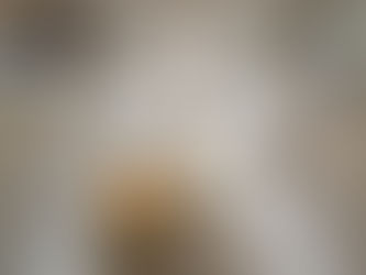 Between Tradition and Memories: My Discovery of Boule de Fort