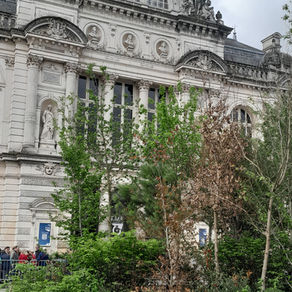 Angers, l’élégance ligérienne entre patrimoine, nature et douceur de vivre