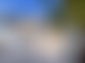 The Royal Château of Blois: The Theatre of French History in Four Acts