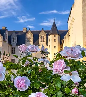 Fete-des-RosesBD©ChateauduRivau.D-.Darrault-.webp