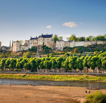 Forteresse_Chinon_Credit_ADT_Touraine_JC_Coutand-2030-1.JPG
