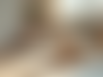 Starting My Journey in the Pet Care Business