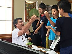 かしま環境ネットワーク