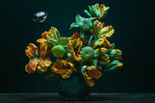 DSC00322flowers.jpeg