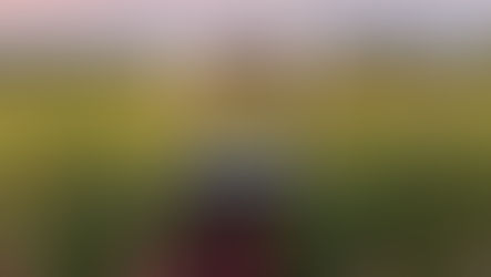 Top Wineries in Kakheti, Georgia: Where to enjoy the best wine tastings, tours, and lunches