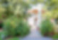 AG5D0549_edited_edited.jpg