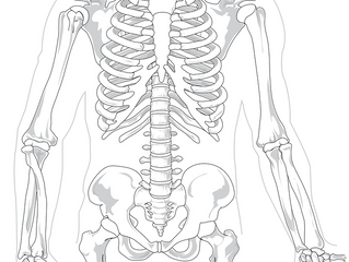Physical Therapy After Spinal Fusion Surgery