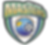 masters soccer logo.PNG