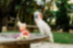 south florida wedding venues