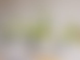 What Will Be the Must-Have Event Florals in 2025?