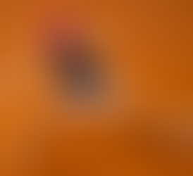 Iga Swiatek playing in Stuttgart in 2024