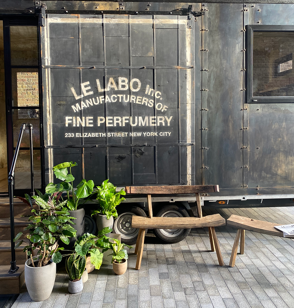 IMG_6772.HEIC