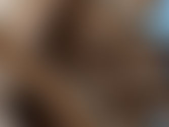 🏠 The Sandpoint Home Buyer’s Guide: What’s Lurking in the Attic?