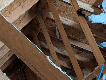 🏠 The Sandpoint Home Buyer’s Guide: What’s Lurking in the Attic?