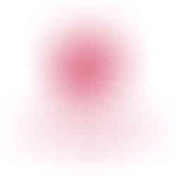 مدرسة كينت كولدج الدولية